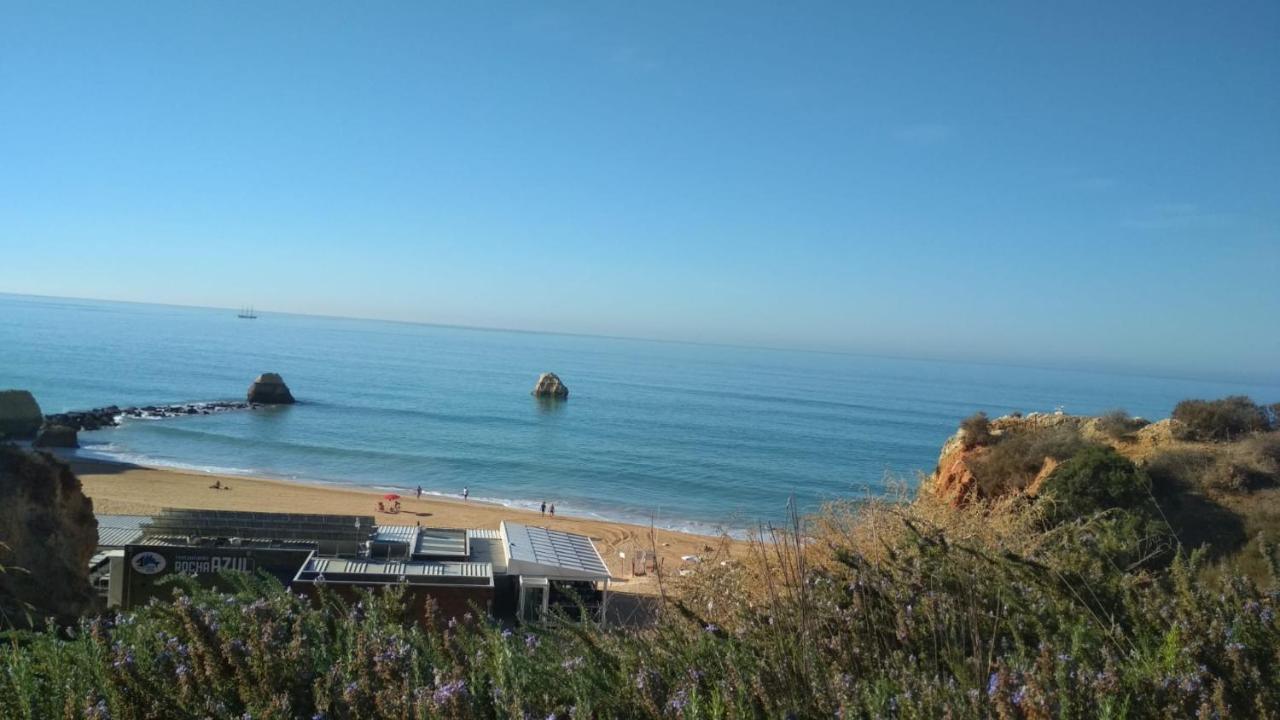 Albur Village B - Dandelion Alvor Eksteriør bilde