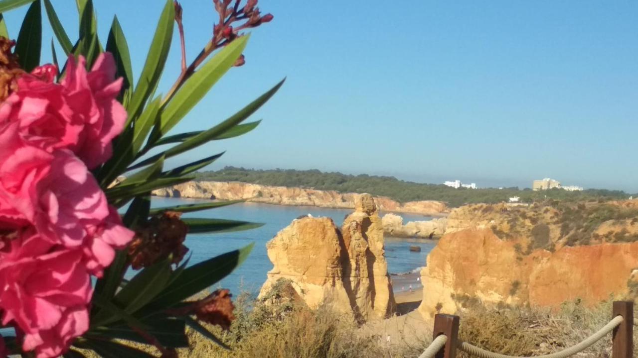 Albur Village B - Dandelion Alvor Eksteriør bilde